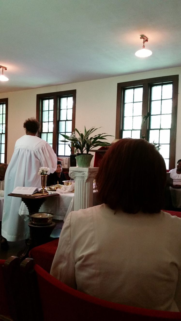 13580544_1202728766426579_6913938948280437845_o